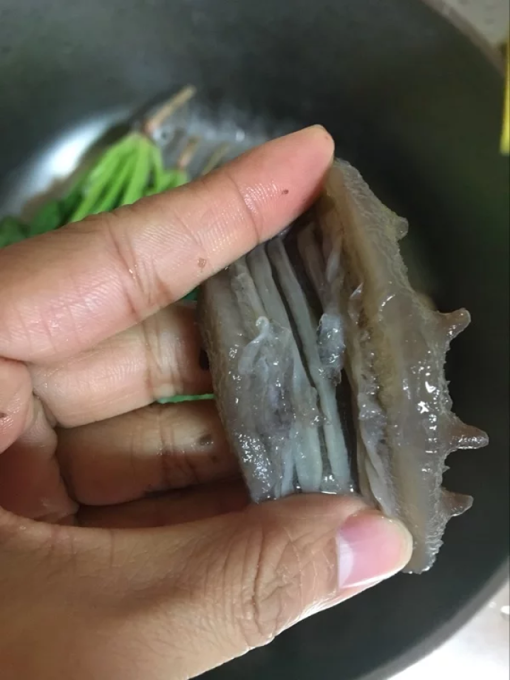 元宝岛 大连鲜食海参 125g 5只 礼盒装 海鲜水产怎么样，好用吗，口碑，心得，评价，试用报告,第4张