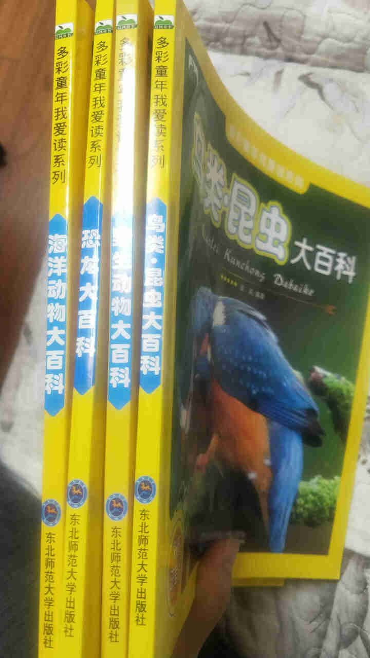 多彩童年我爱读系列4册 恐龙鸟类·昆虫大百科野生动物海洋动物大百科彩图注音版小学生课外科普百科全书 恐龙鸟类昆虫野生海洋动物大百科【4册】怎么样，好用吗，口碑，,第7张