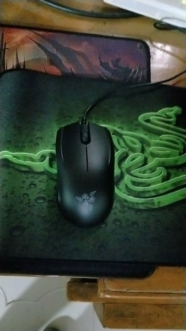 雷蛇Razer 地狱狂蛇2000+重装甲虫鼠标垫套装绝地求生吃鸡有线电竞游戏鼠标 2000狂蛇速度版怎么样，好用吗，口碑，心得，评价，试用报告,第3张