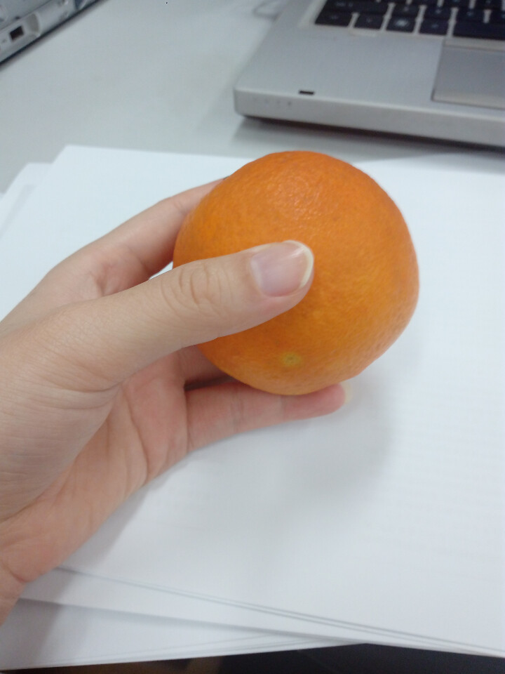 百宝源 四川高山纽荷尔脐橙 橙子 4斤约10个 新