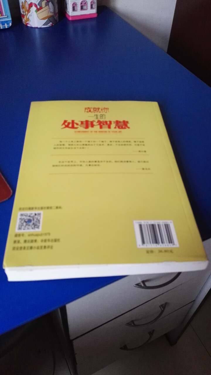 成就一生的处事智慧 为人处事做人做事 人际交