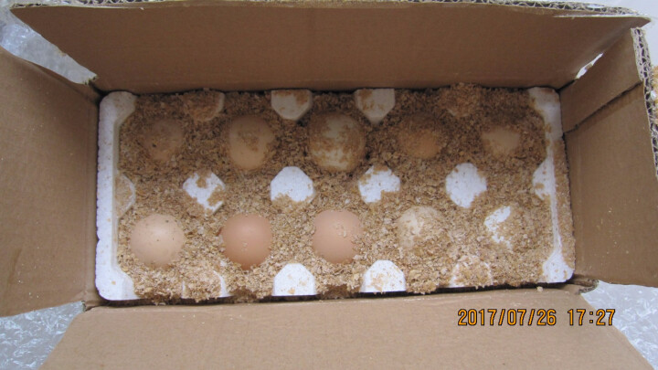 依禾农庄 昌平农场散养 土鸡蛋 柴鸡蛋 10枚怎么样，好用吗，口碑，心得，评价，试用报告,第4张
