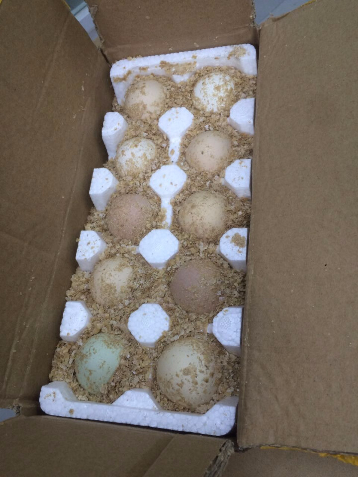 依禾农庄 昌平农场散养 土鸡蛋 柴鸡蛋 10枚怎么样，好用吗，口碑，心得，评价，试用报告,第4张