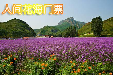 50元,原价60元的人间花海门票一张,2014年06月20日起可用,无需预约