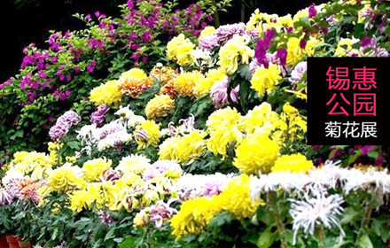 锡惠公园菊花展门票 - 无锡团购网|京东团购