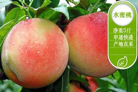 长沙京东团购团购,【预售-产地直采】水蜜桃5