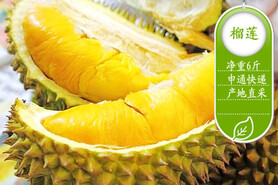 长沙京东团购团购,【预售-泰国榴莲】仅78元团