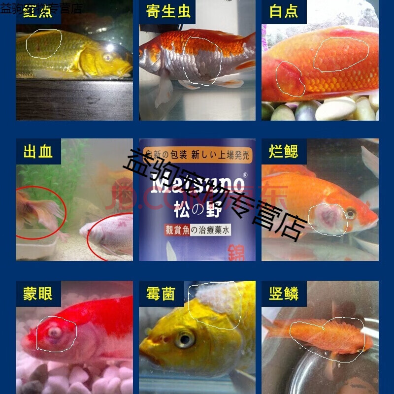 水族金鱼药杀菌鱼烂尾烂鳍观赏鱼锦鲤药鱼药白点病消毒锦鲤鱼药水500ml 图片价格品牌报价 京东