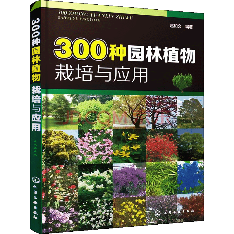 300种园林植物栽培与应用庭院景观植物选择与种植街道树木观赏花卉草坪地被速查手册园艺工具书 摘要书评试读 京东图书 300种园林植物栽培与应用庭院景观植物选择与种植街道树木观赏花卉草坪地被速查手册园艺工具书 摘要书评试读 京东图书