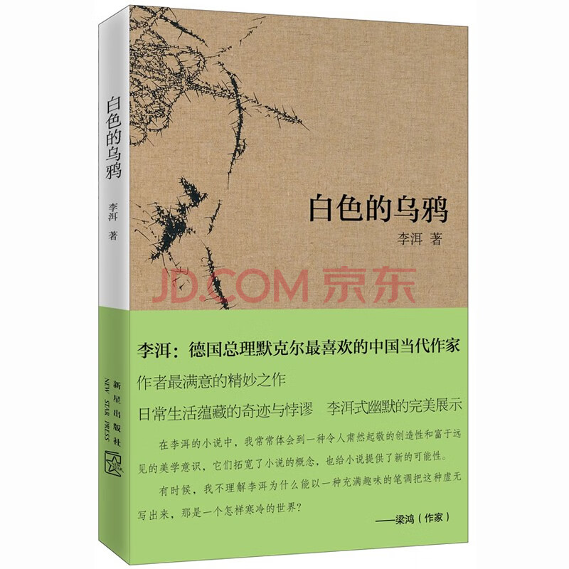 白色的乌鸦 茅奖获得者李洱短篇小说集 摘要书评试读 京东图书