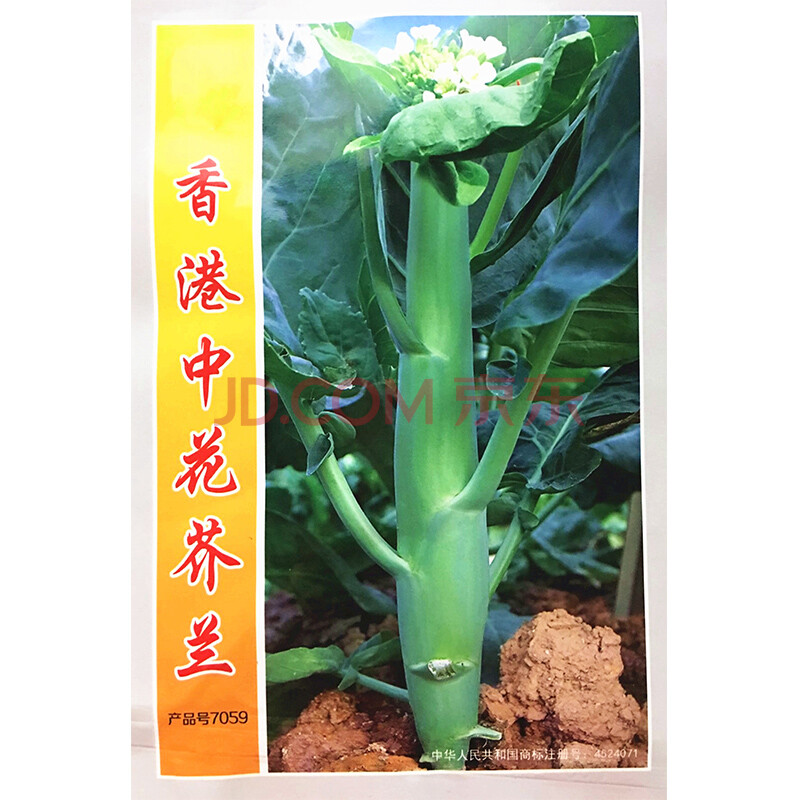 禾花楹蔬菜种子香港中花芥兰种子芥蓝芥兰菜种子早中熟主苔粗壮爽脆味鲜甜可阳台盆栽青菜种子5克 包 图片价格品牌报价 京东
