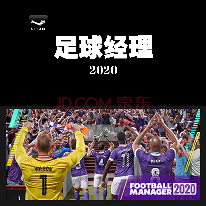 Pc中文正版steam Fm足球经理 Football Manager 简体中文其他 京东jd Com