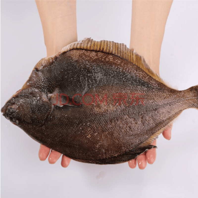 Lism黄金鲽鱼新鲜比目鱼鲜活速冻鸦片鱼海鲜扁宝鱼新鲜9两 1斤八条装 图片价格品牌报价 京东