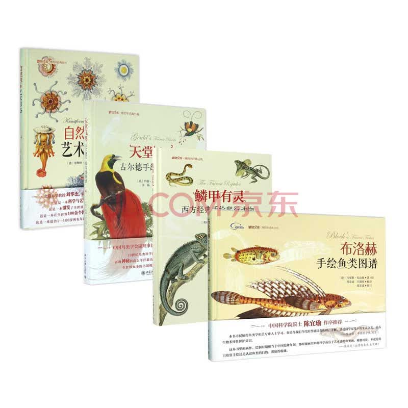 博物学经典丛书系列鳞甲有灵天堂飞鸟自然界的艺术形态布洛赫手绘鱼类图谱共4册 齐硕 编者 齐硕 绘画 法 杜梅里 奥 摘要书评试读 京东图书