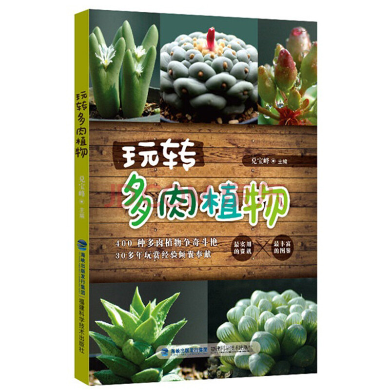 玩转多肉植物多肉书籍养花书植物养护指导书籍花园多肉生活多肉书多肉植物书籍 摘要书评试读 京东图书