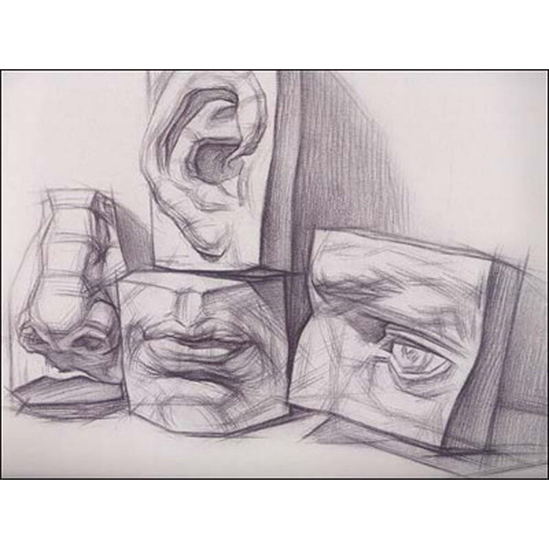 少年儿童美术培训专用教材系列丛书素描石膏五官头像写生教程12岁18岁