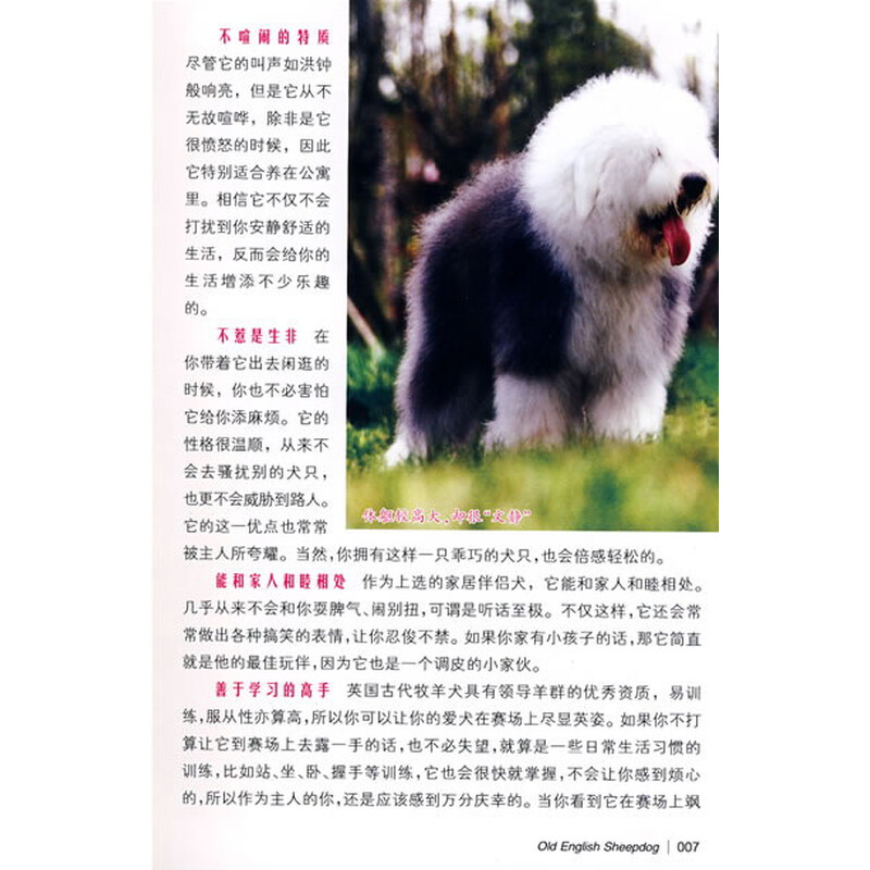 英国古代牧羊犬 喜剧明星 摘要书评试读 京东图书
