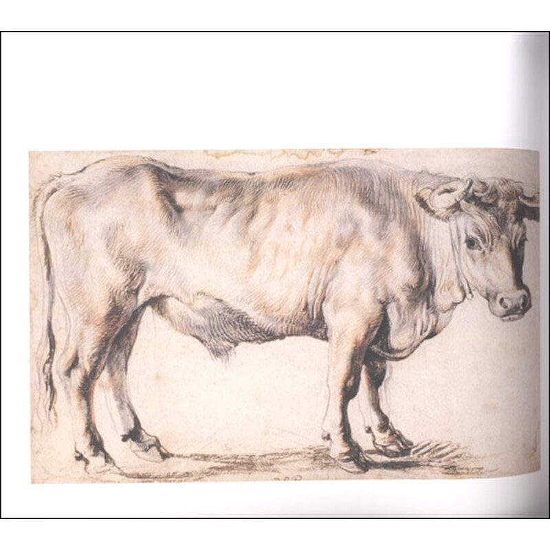 世界素描大系彼得保罗鲁本斯