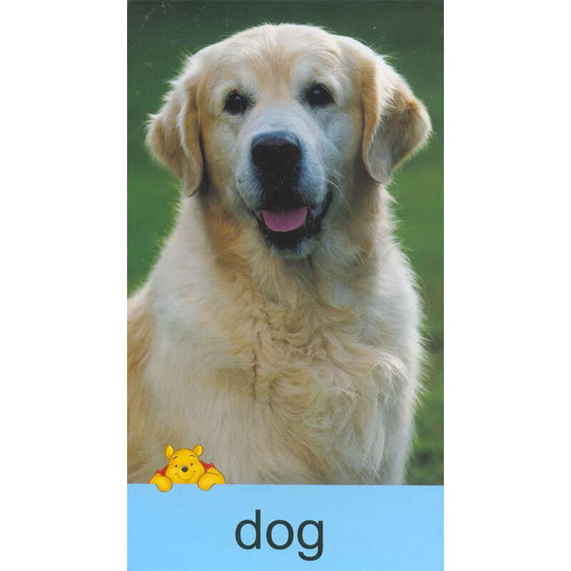 第一眼就看(动物大卡)(附挂图)