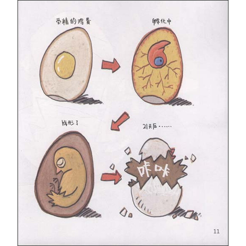 趣读科学绘本:不可思议的妈妈(有关生殖方式)