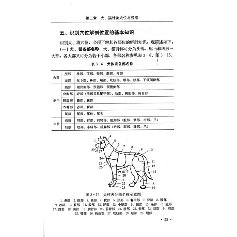 犬猫针灸疗法 宋大鲁 宋劲松 摘要书评试读 京东图书