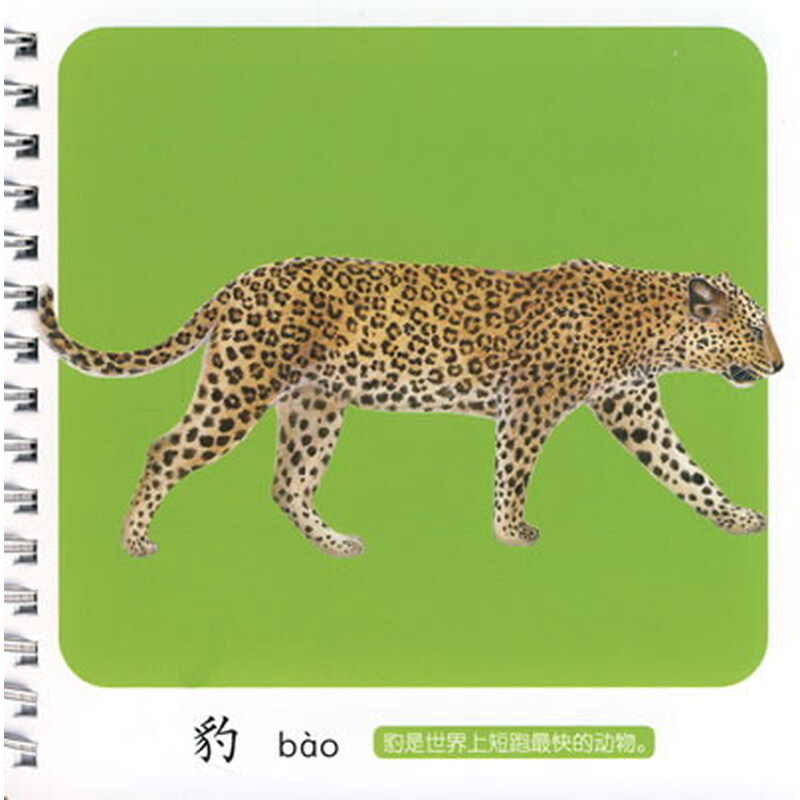 幼儿启蒙识图卡识动物2