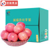 顶端陕西延安洛川红富士苹果40个75新鲜水果苹果16斤家庭实惠装
