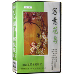 学习中国画：写意花鸟（3DVD）