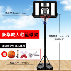 乃力 标准篮球架 可升降篮球框移动简易篮球架 家用户外篮球架 豪华版 手拉调节+标准框+框网