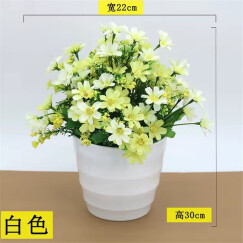 绿秀 仿真花套装假花摆件塑料花含花瓶花束仿真植物盆景餐桌装饰花 大盆跳兰菊/白色 含塑料盆