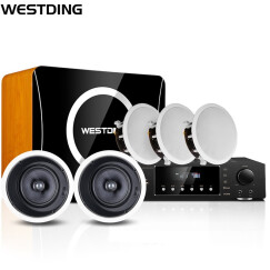 威斯汀（WESTDING）家用5.1家庭背景音乐主机系统套装无线蓝牙嵌入式吸顶喇叭音响家庭影院 909导向型HDMI套装（升级豪华版）