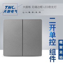 TNC电气  Q6 二位大跷板单极开关（带LED指示灯）功能件（金属灰）