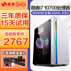 硕扬 i7 10700/8G内存/256G SSD企业家用游戏台式办公电脑主机/DIY组装机