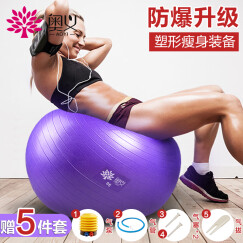 奥义瑜伽球65cm加厚防滑健身球专业防爆孕妇助产含全套充气装备 