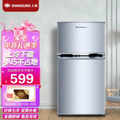 上菱 （SHANGLING）103升双门 迷你 小冰箱 家用小型电冰箱BCD-103C 闪白银