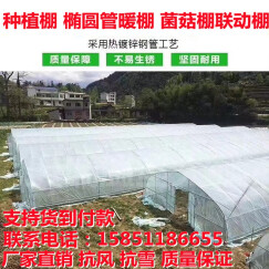 爱悦大棚钢架 温室大棚钢管农用花卉棚热镀锌大棚骨架椭圆管养殖暖棚 8米宽30米长 含无滴膜 高配版含流滴膜+卷膜器