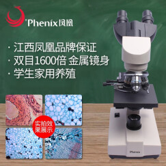 凤凰（Phenix） XSP-36生物双目显微镜高倍高清1600倍儿童学生畜牧美容 标配+礼品+美佳朗单反转接配件