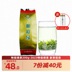 湘丰2024新茶 春茶绿茶散装特级浓香型湖南绿茶长沙金井茗茶金井绿茶 特级绿茶200g