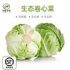 绿源禾心 有机卷心菜 圆白菜 新鲜蔬菜 约500g 有机蔬菜认证 生鲜套餐 配送 【顺丰速运】