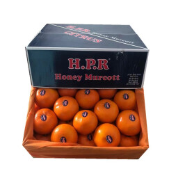澳洲品种沃柑橘澳橘 重8斤礼盒装 大果桔子当季新鲜水果
