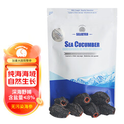 Melephant 加拿大淡干海参 深海海参干货 2530型 100g 精品体验袋装