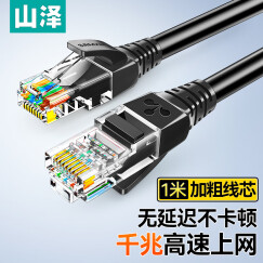 山泽 超五类网线 CAT5e类高速千兆网线 1米 工程/宽带电脑家用连接跳线 成品网线 黑色 SH-1010