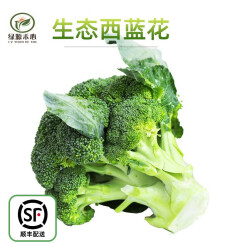 绿源禾心 有机西兰花 花椰菜 西蓝花 生鲜宝宝辅食 约500g 1斤有机蔬菜认证 生鲜套餐 顺丰速运