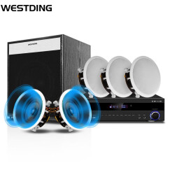 威斯汀（WESTDING）家用5.1家庭背景音乐主机系统套装无线蓝牙嵌入式吸顶喇叭音响家庭影院 909导向型套装（豪华款）