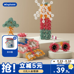 铭塔300片中号加厚雪花片塑料梅花积木拼插儿童早教玩具男孩女孩礼物