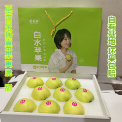 【正常发货】珍妹 陕西白水苹果红富士苹果新鲜水果  有瑞阳瑞雪