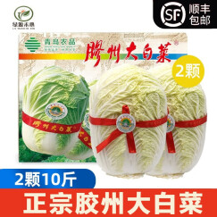 绿源禾心（LVYUANHEXIN）正宗胶州大白菜 约10斤 2颗礼盒装  蔬菜认证 生鲜顺丰配送