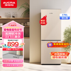 澳柯玛（AUCMA）冰箱家用租房用双开门电冰箱双门小冰箱二门小型冰箱节能低噪176升 以旧换新 BCD-176NE