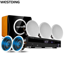 威斯汀（WESTDING）家用5.1家庭背景音乐主机系统套装无线蓝牙嵌入式吸顶喇叭音响家庭影院 909导向型套装（豪华款）