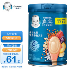 嘉宝(Gerber)婴儿辅食 缤纷水果营养谷物米粉 宝宝高铁米糊2段250g(6-36个月适用)
